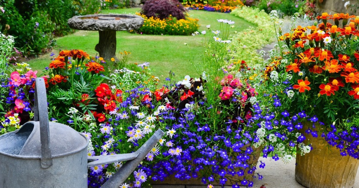 Plan For Fall With August Plantings