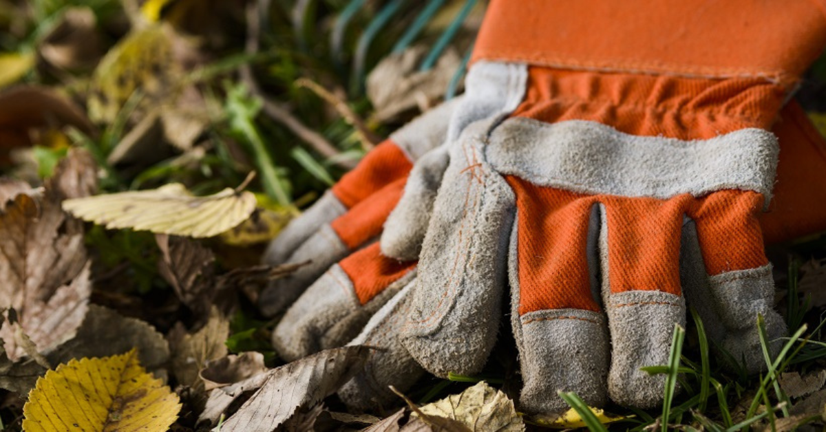 Fall Into Good Gardening Habits